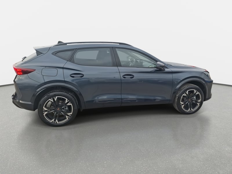 Cupra Formentor 2.0 Tsi 4drive 4x4 At 5p 2026 - Imagen 8 de 8
