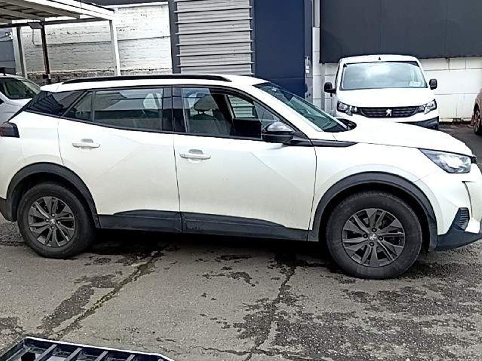 Peugeot 2008 1.5 Active Bluehdi Diesel 100 4x2 Mt 5p 2023 - Foto 3 de 5