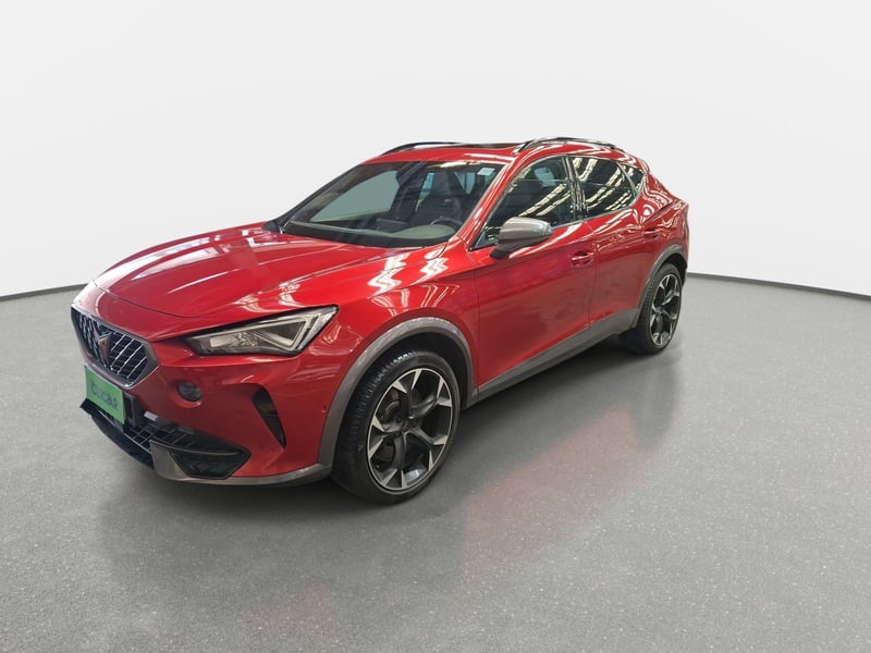 Cupra Formentor 2.0 Tsi Vz 4drive 4x4 At 5p 2025 - Imagen 3 de 8