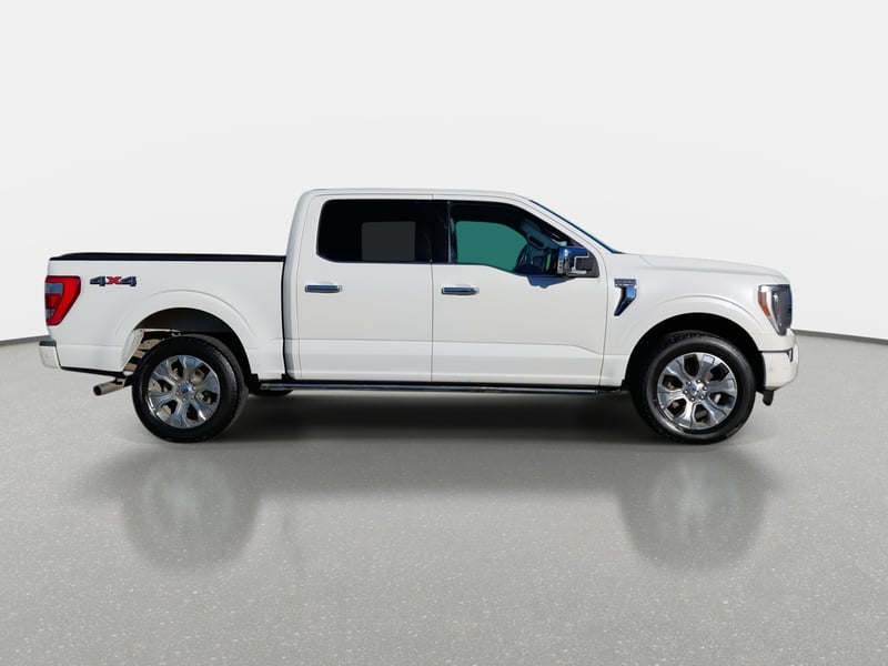 Ford F-150 3.5 Platinum Cc Dob. Cab. 4x4 At 4p 2024 - Imagen 8 de 8