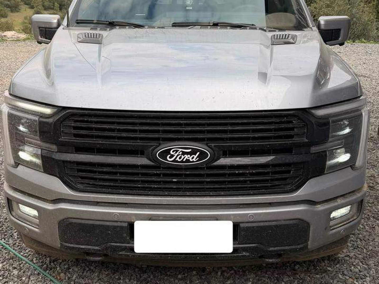 Ford F-150 3.5 Platinum Cc Dob. Cab. 4x4 At 4p 2026 - Foto 2 de 5