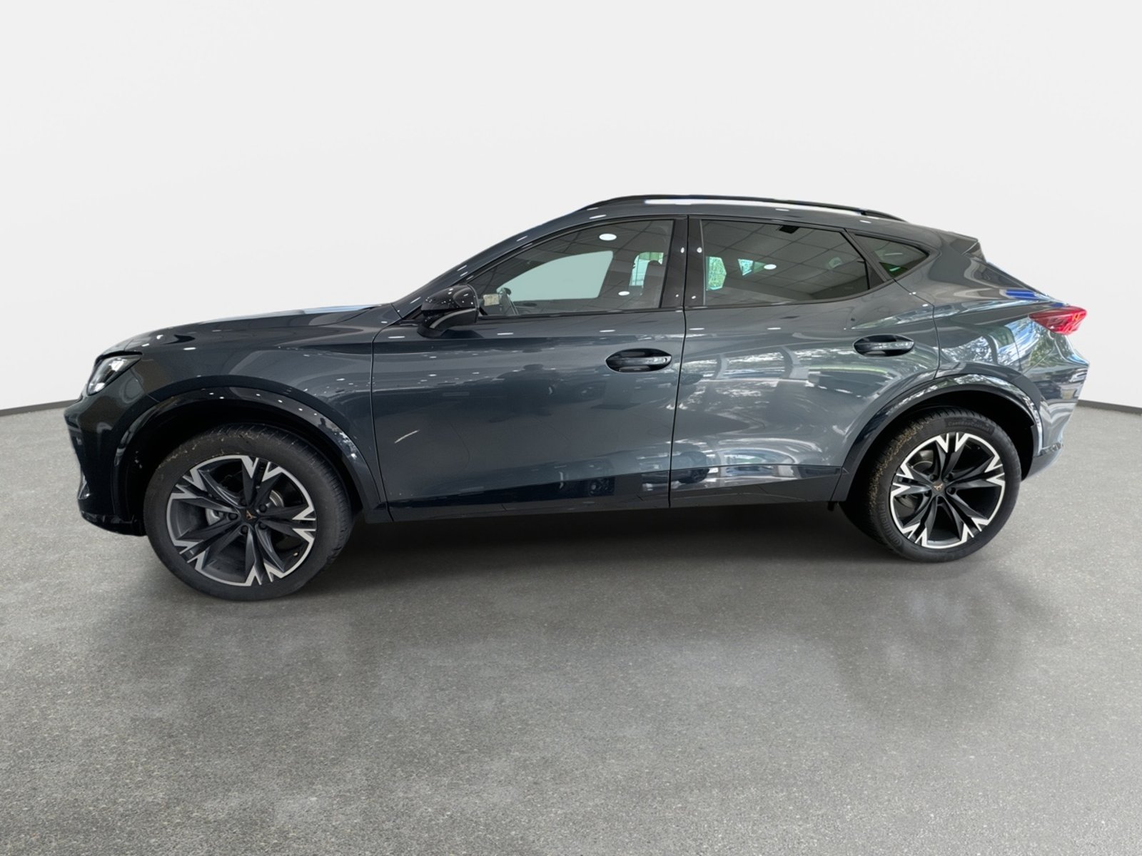 Cupra Formentor 2.0 Tsi 4drive 4x4 At 5p 2026 - Foto 4 de 8