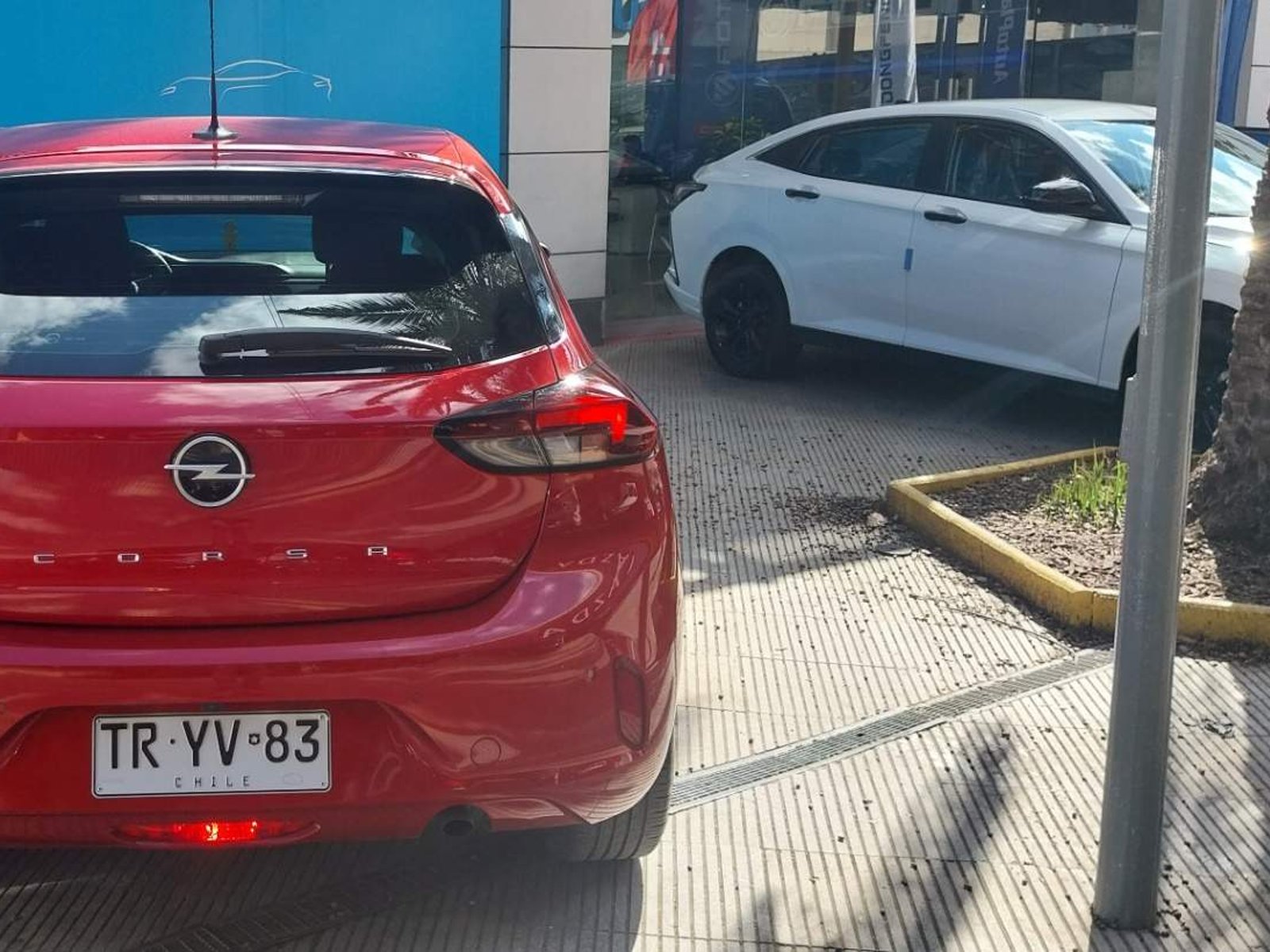 Opel Corsa 1.2t Edition 100hp 4x2 At8 5p 2024 - Foto 5 de 5