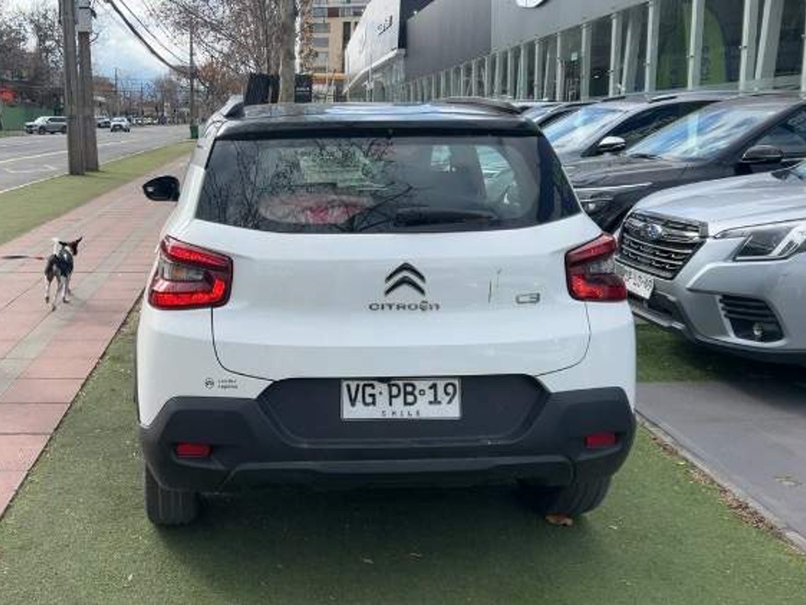 Citroën C3 1.6 Vti Feel 4x2 115 Eat6 At 5p 2025 - Foto 5 de 5