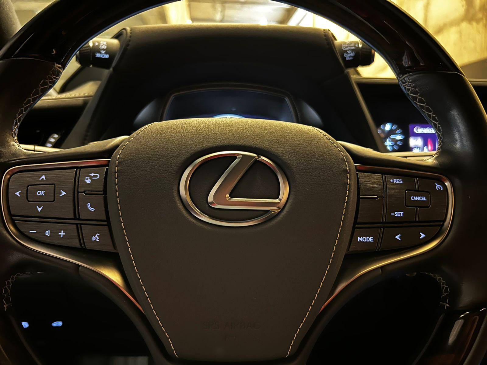 LEXUS LS 500 HÍBRIDO 2019 - Imagen 12 de 20