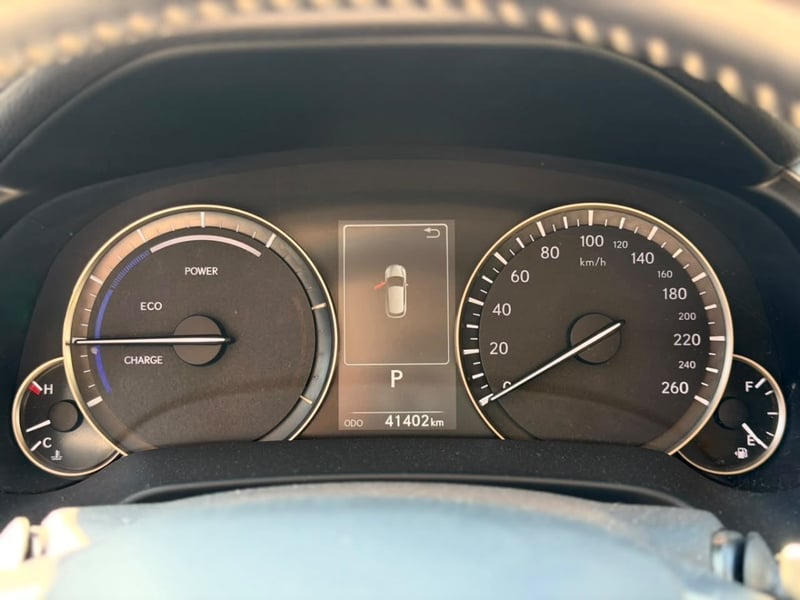 Lexus RX450 H 3.5 AWD 2022 - Imagen 13 de 20