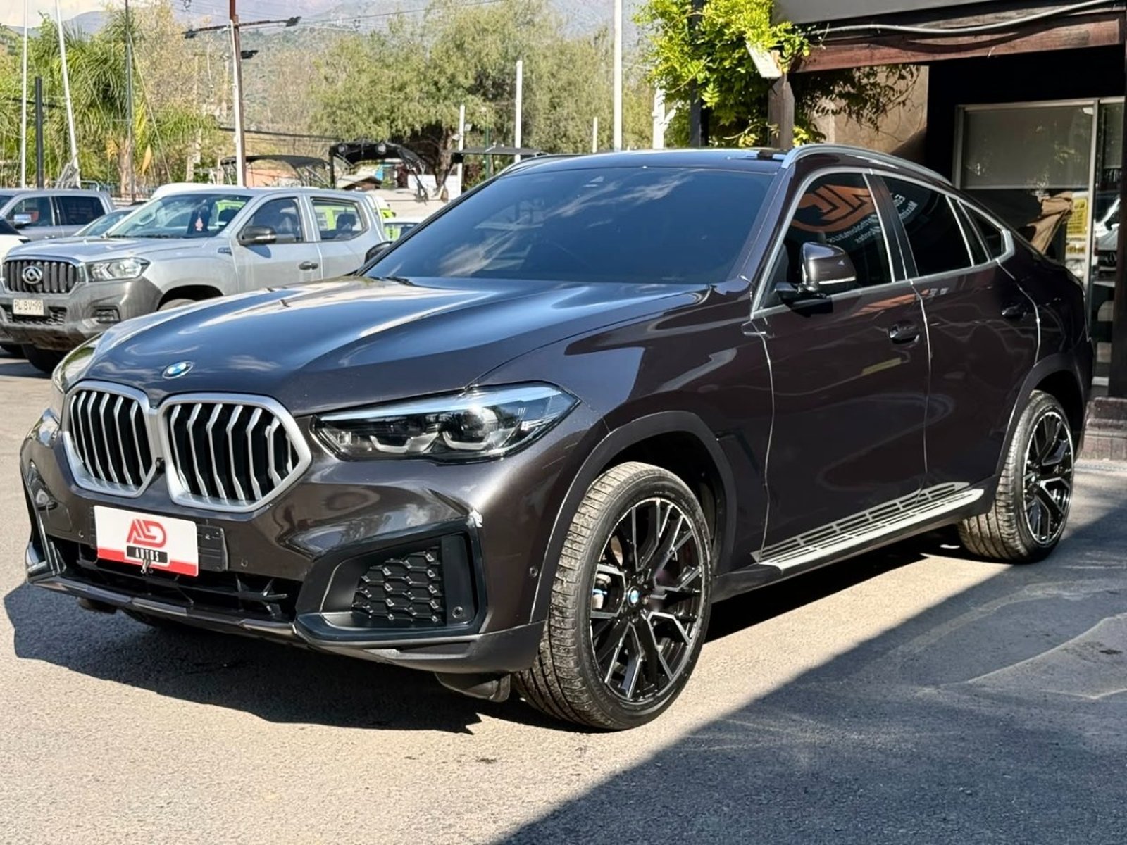 BMW X6 Executive 3.0d Xdrive 2023