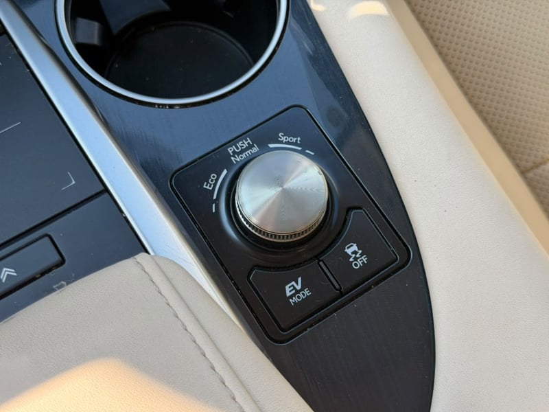 Lexus RX450 H 3.5 AWD 2022 - Imagen 18 de 20