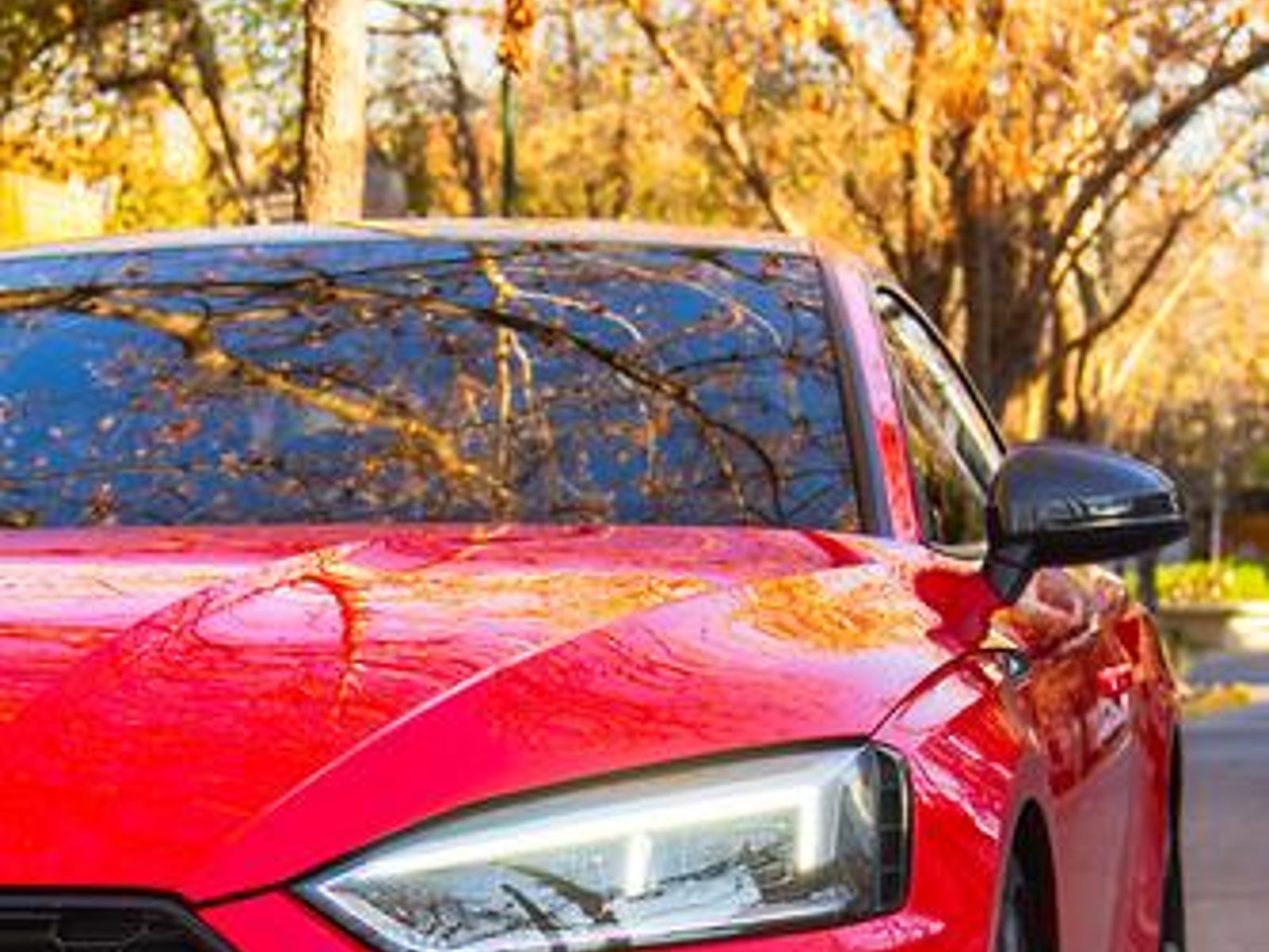 Audi Rs5 2019 - Foto 3 de 20