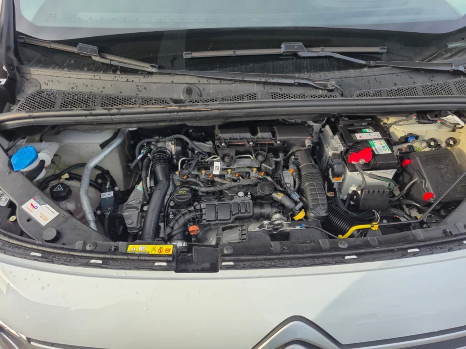 Citroën Berlingo 2024 - Imagen 12 de 20