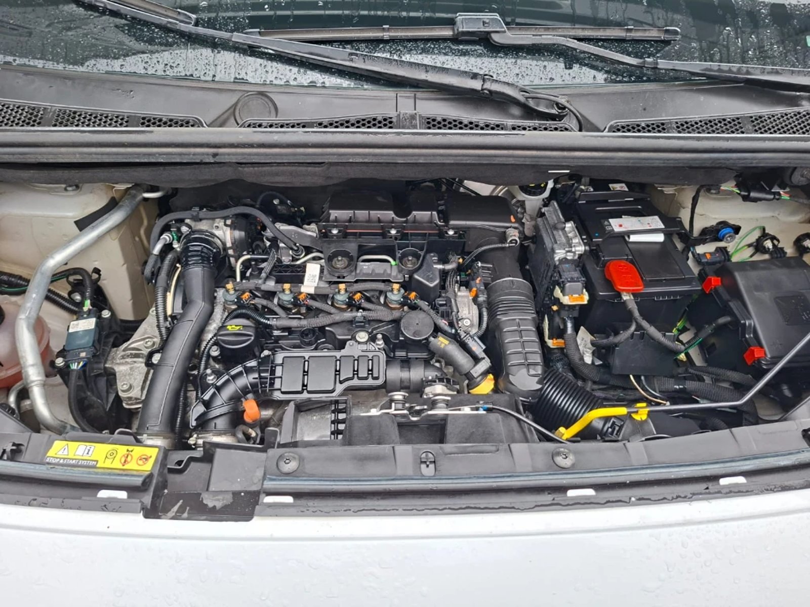 Citroën Berlingo 2023 - Imagen 11 de 20