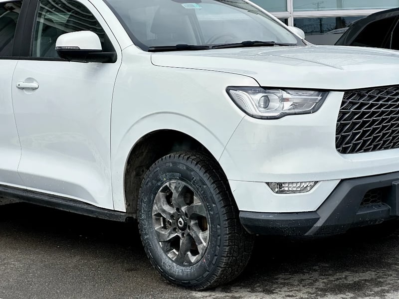 Great Wall Poer 2023 - Imagen 4 de 20
