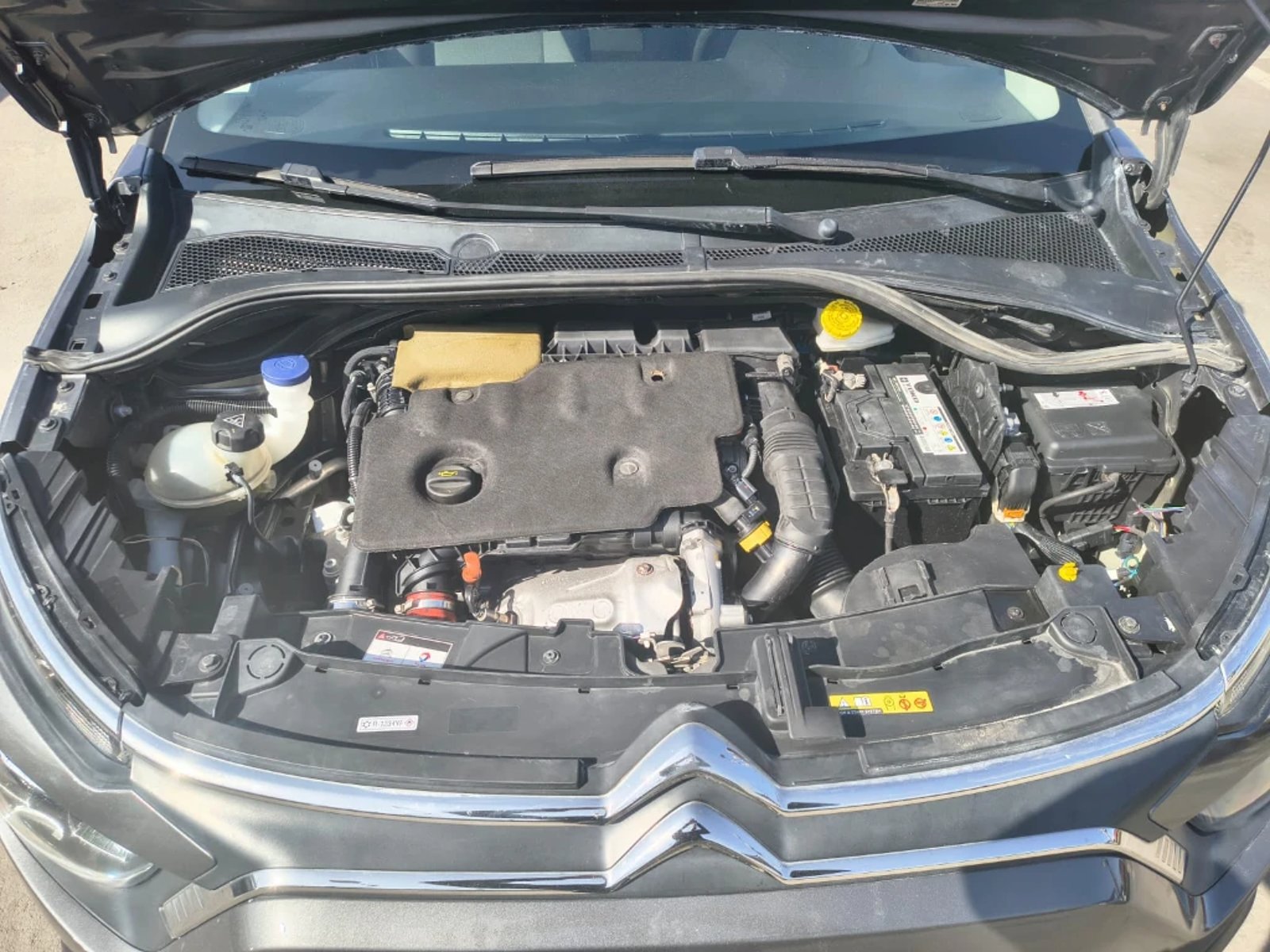Citroën C3 2023 - Imagen 10 de 20
