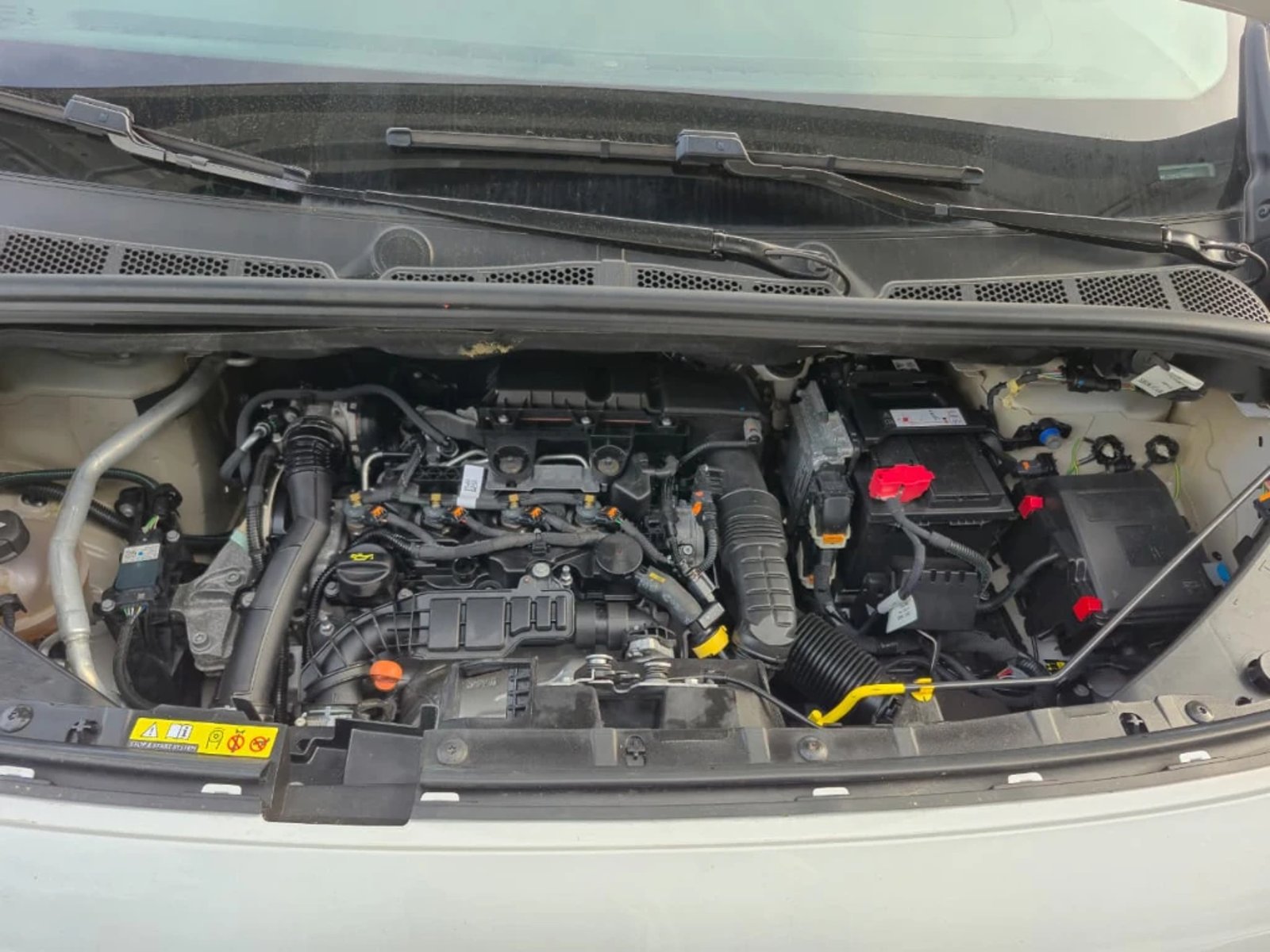 Citroën Berlingo 2024 - Imagen 11 de 20