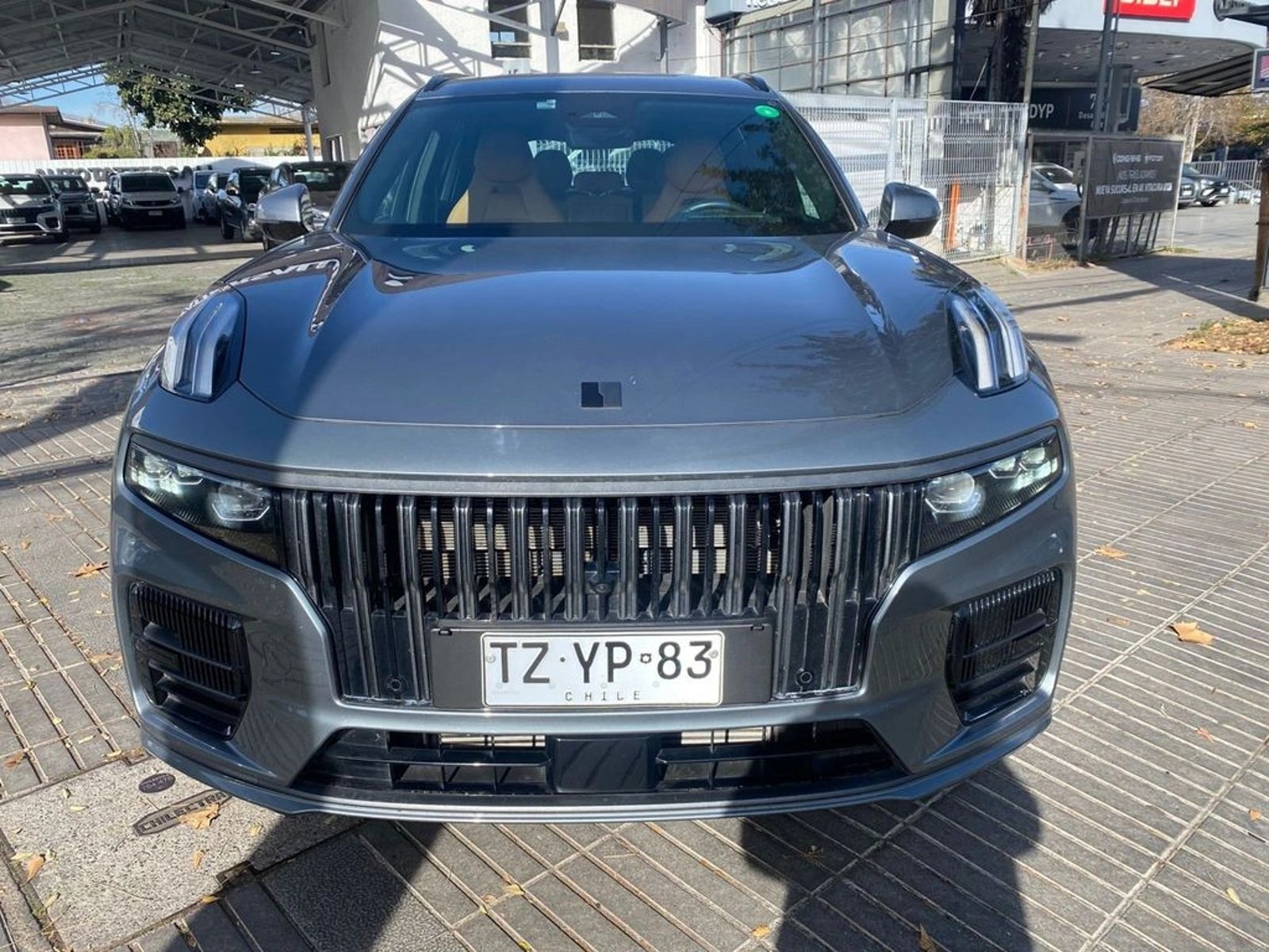 Lynk & Co 09 Halo 2.0 T MHEV AWD 2025 - Foto 2 de 16