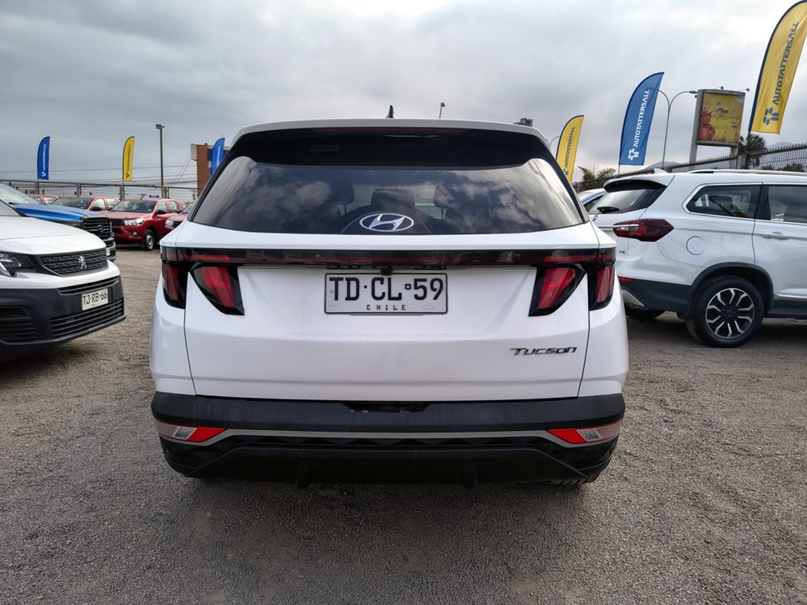 Hyundai TUCSON TUCSON 2.0 Gasolina 4x4 T/A 2024 - Imagen 6 de 20