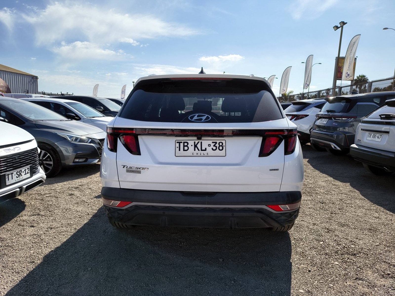 Hyundai TUCSON 2.0 Gasolina 4x4 T/A 2024 - Foto 4 de 20