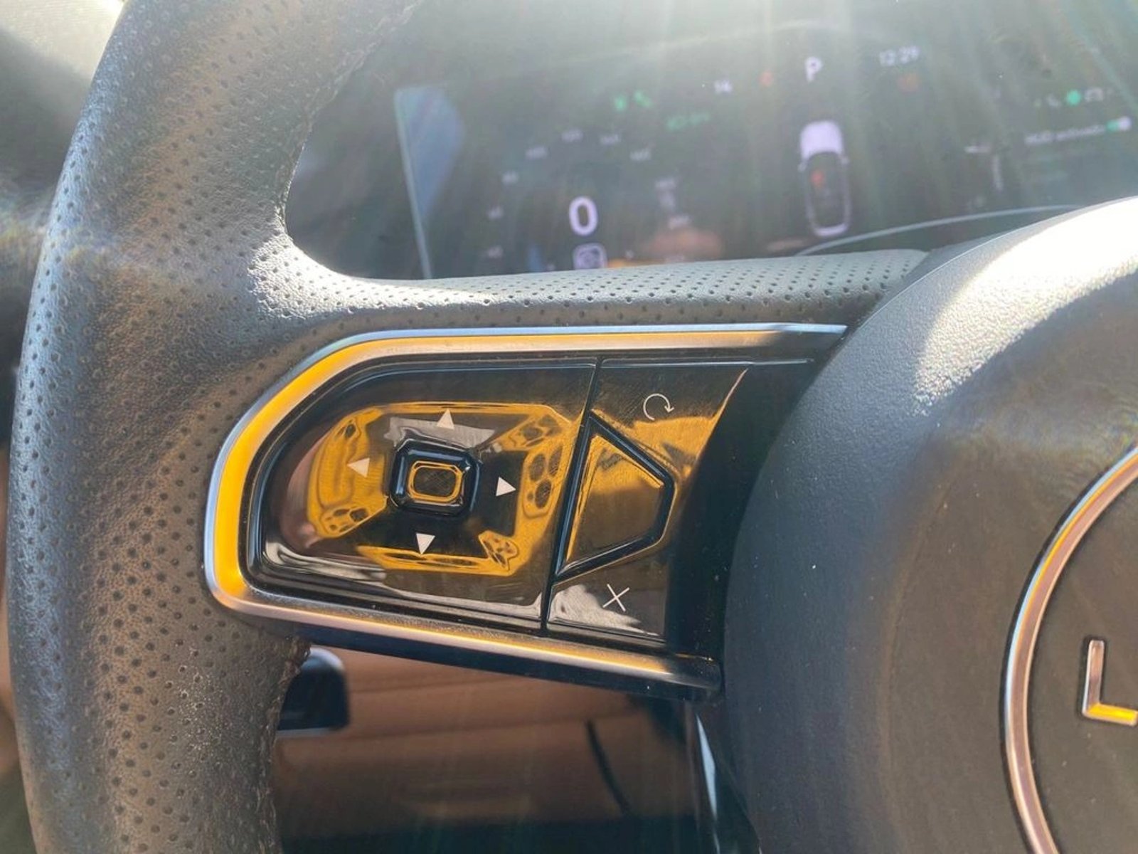 Lynk & Co 09 Halo 2.0 T MHEV AWD 2025 - Imagen 10 de 16
