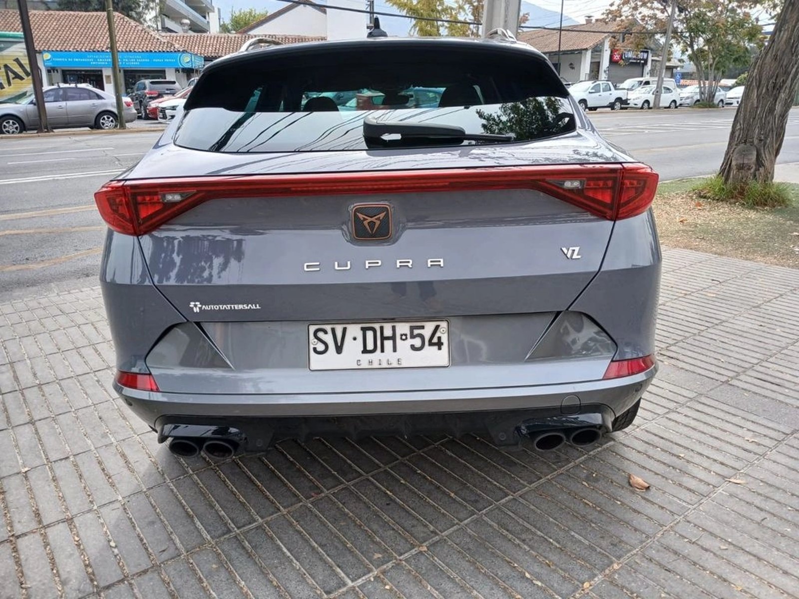 CUPRA FORMENTOR Formentor VZ 2.0 4X4 AT 2023 - Imagen 8 de 20