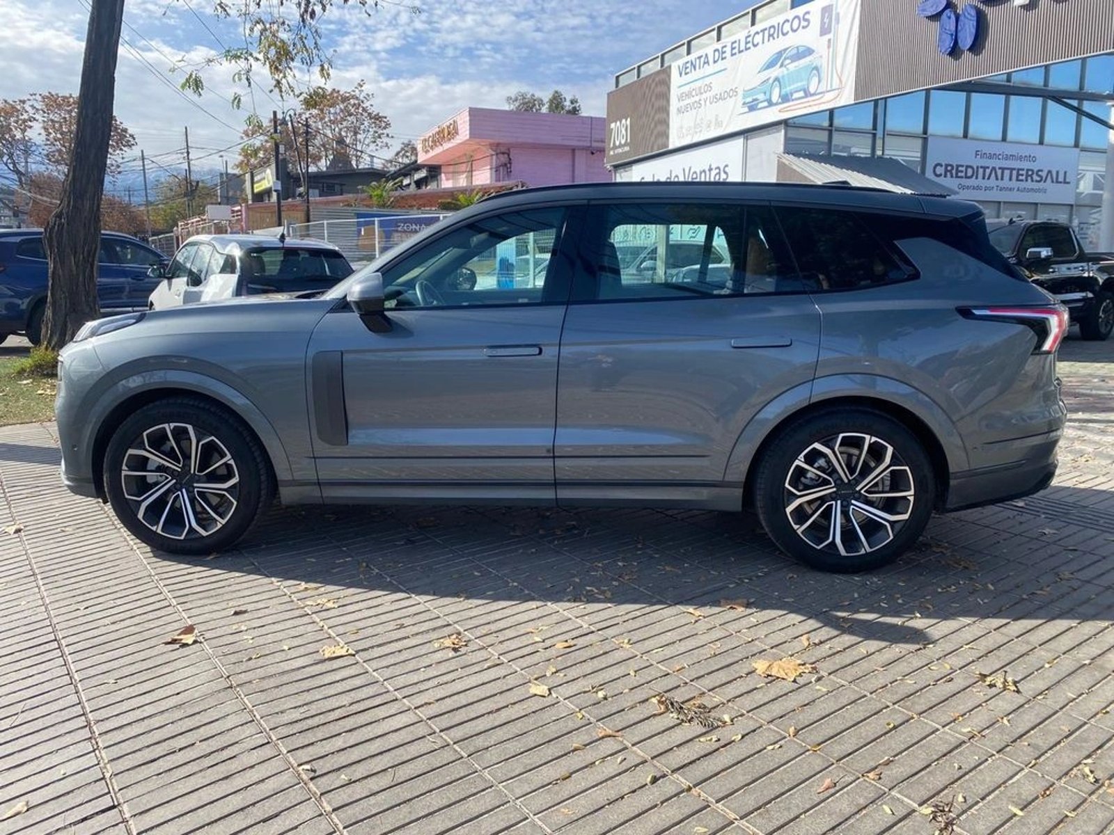 Lynk & Co 09 Halo 2.0 T MHEV AWD 2025 - Foto 5 de 16
