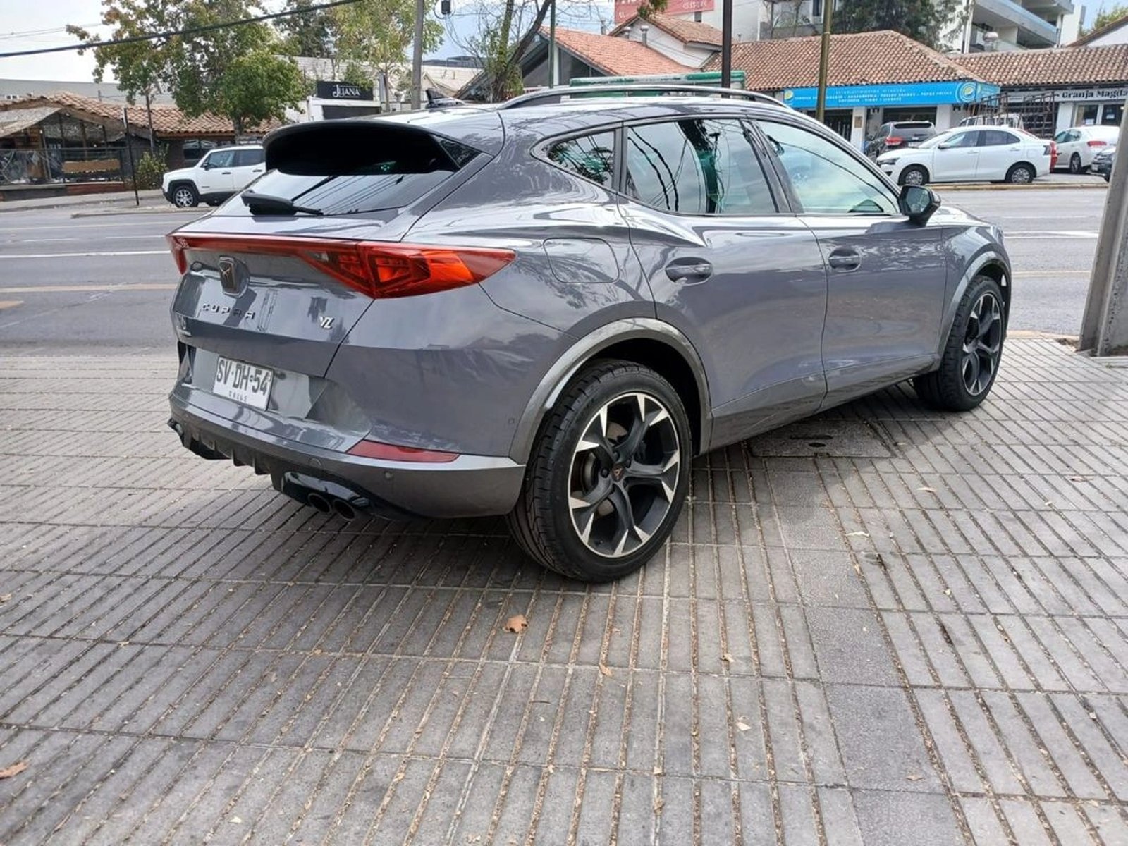 CUPRA FORMENTOR Formentor VZ 2.0 4X4 AT 2023 - Imagen 7 de 20