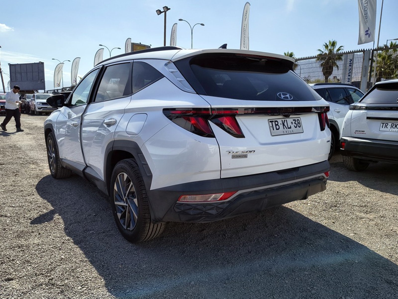 HYUNDAI TUCSON 2.0 Gasolina 4x4 T/A 2024 - Imagen 6 de 20