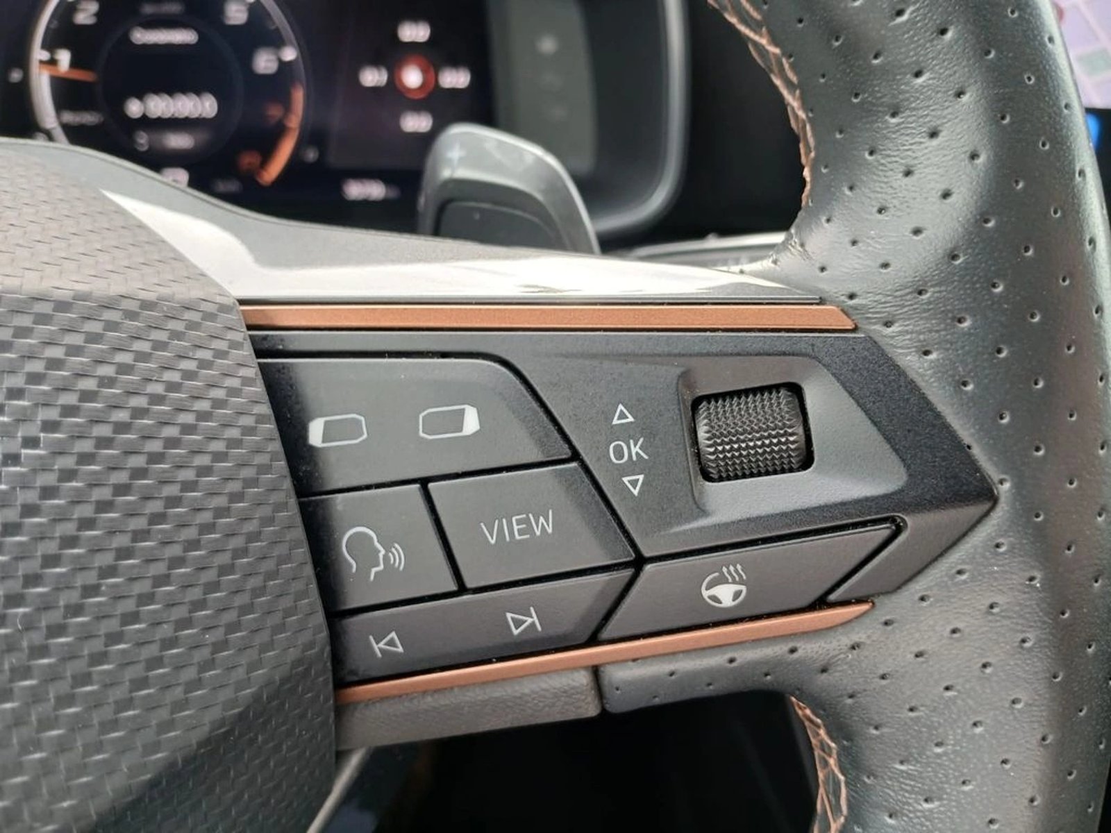 CUPRA FORMENTOR Formentor VZ 2.0 4X4 AT 2023 - Imagen 16 de 20