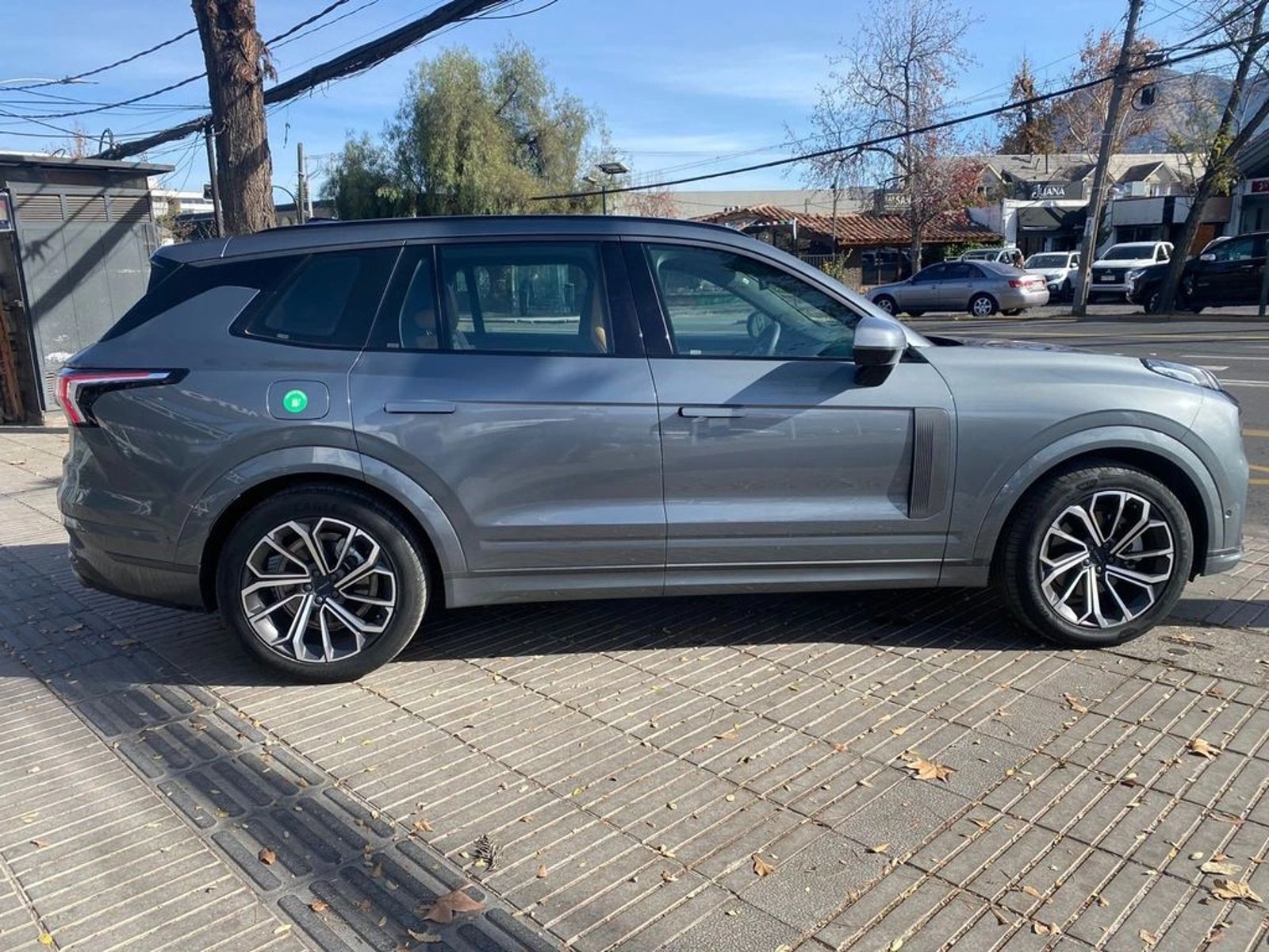 Lynk & Co 09 Halo 2.0 T MHEV AWD 2025 - Imagen 4 de 16