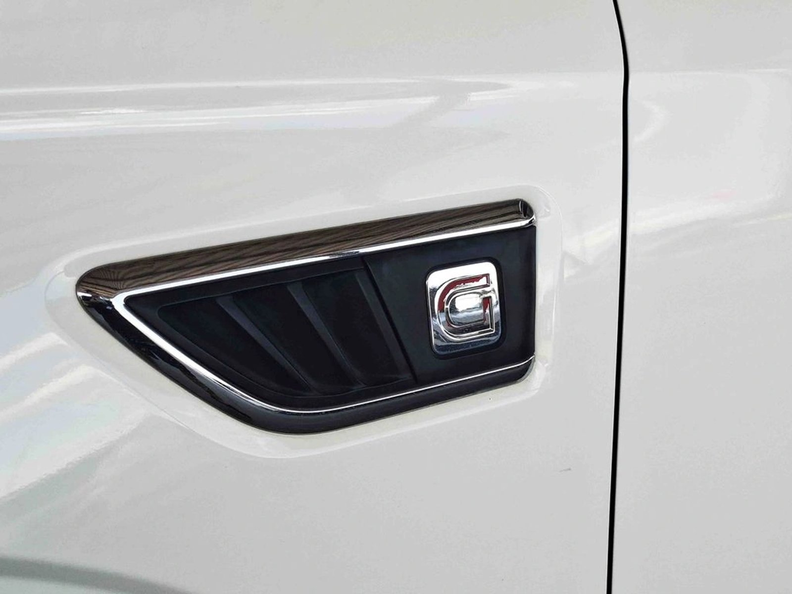 ZX AUTO TERRALORD 2.5 DLX 4X4 DIESEL MT 4P 2023 - Imagen 7 de 20