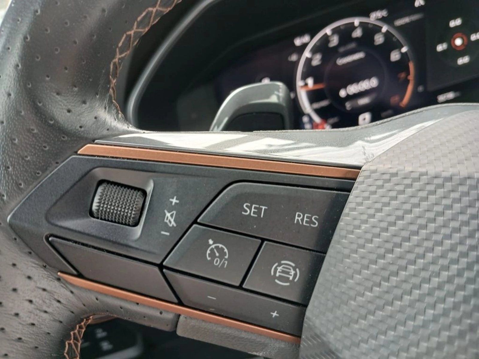 CUPRA FORMENTOR Formentor VZ 2.0 4X4 AT 2023 - Imagen 14 de 20