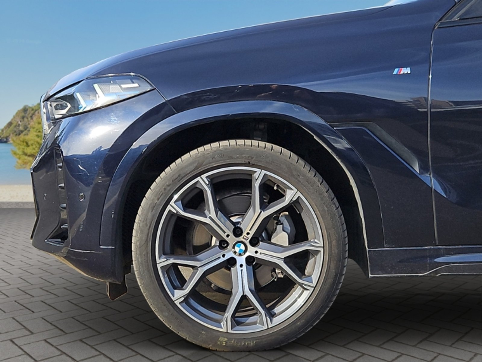 BMW X6 Xdrive 30d M Sport 4x4 3.0 Aut 2025 - Imagen 9 de 20