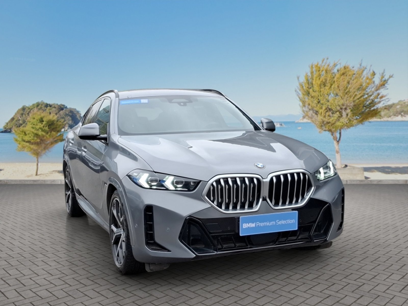 BMW X6 Xdrive 30d M Sport 4x4 3.0 Aut 2024 - Foto 3 de 20