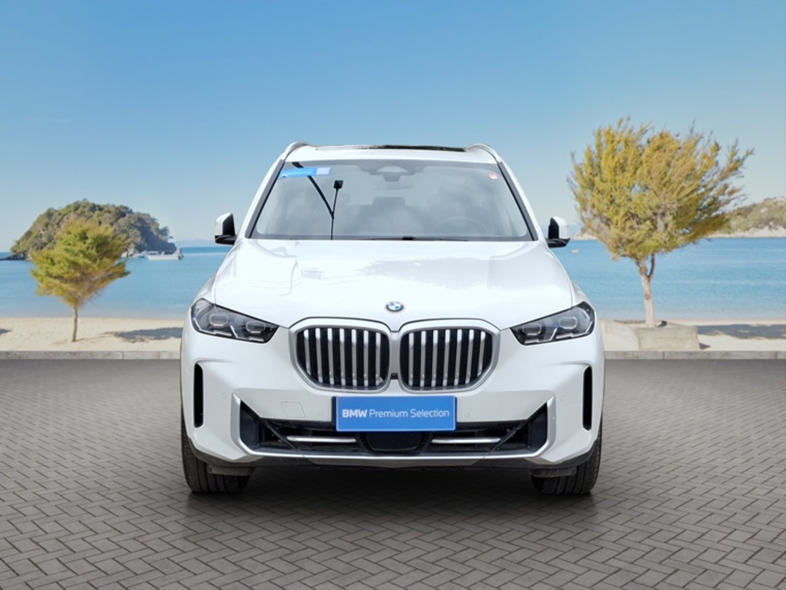 BMW X5 Xdrive30d Xline Lci Awd 3.0 Aut 2024 - Foto 2 de 16