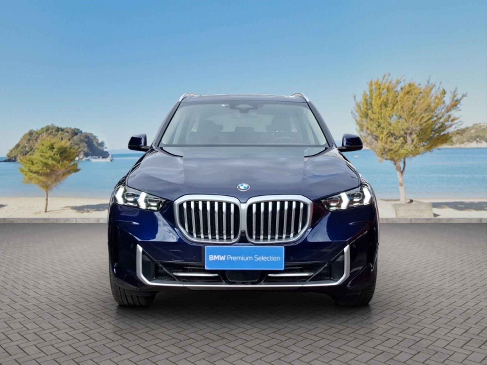 BMW X5 Xdrive30d Xline 2026 - Foto 2 de 20