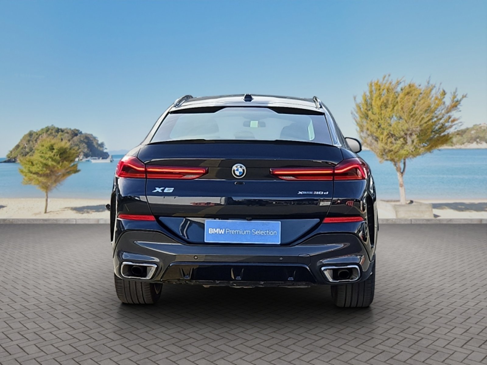 BMW X6 Xdrive 30d M Sport 4x4 3.0 Aut 2025 - Imagen 6 de 20