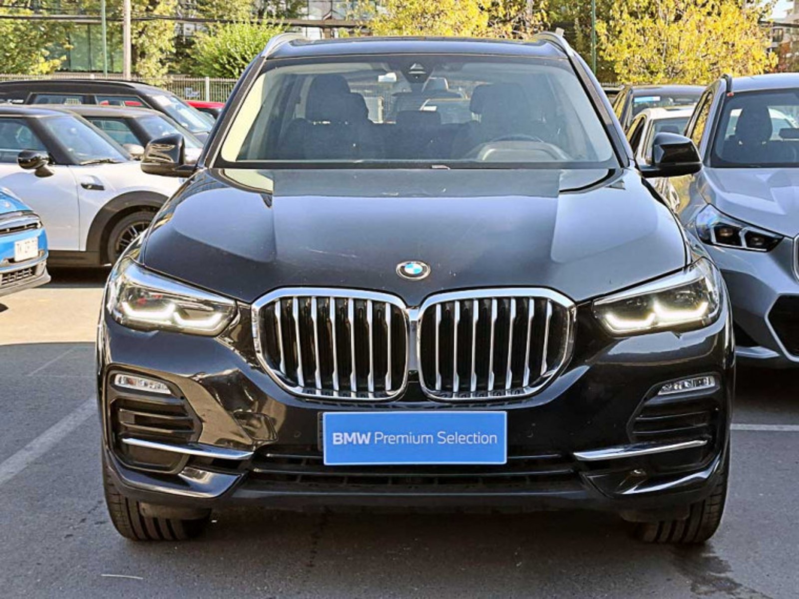 BMW X5 Xdrive40i 4x4 3.0 Aut 2021 - Imagen 3 de 13