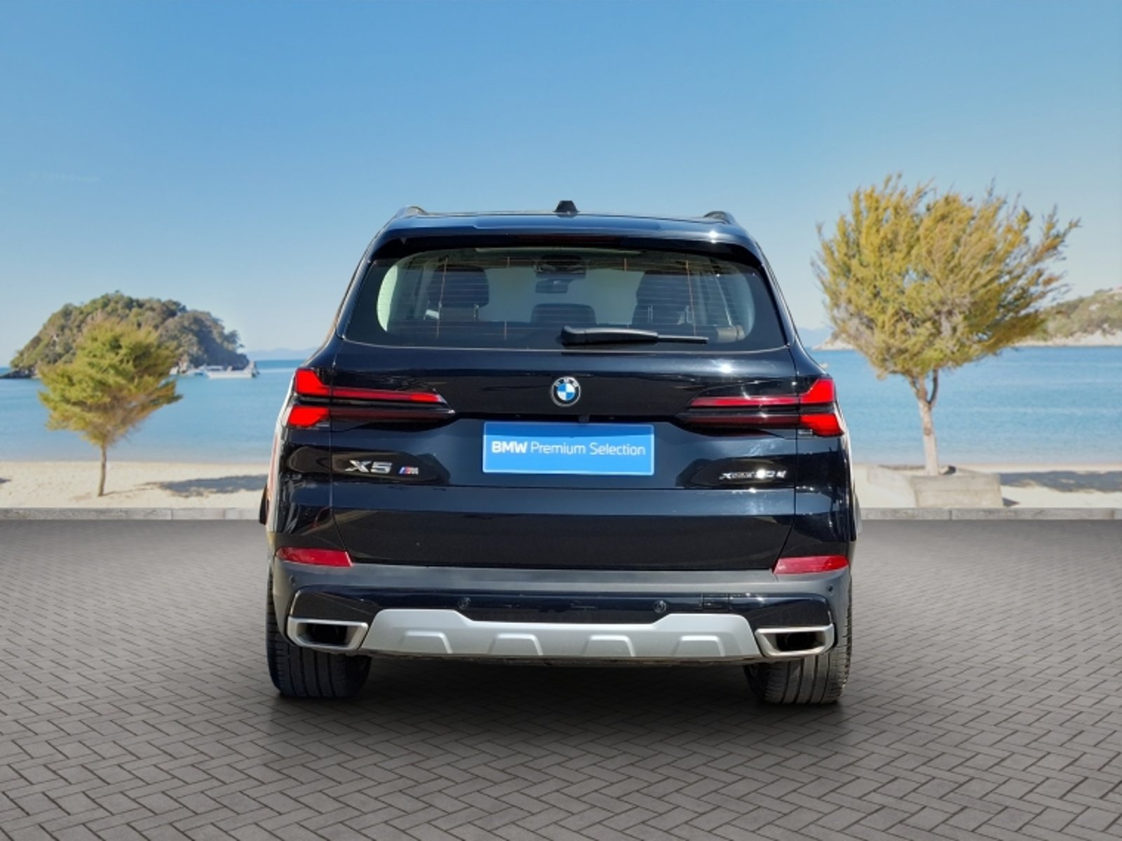 BMW X5 Xdrive30d Xline 2026 - Imagen 6 de 16