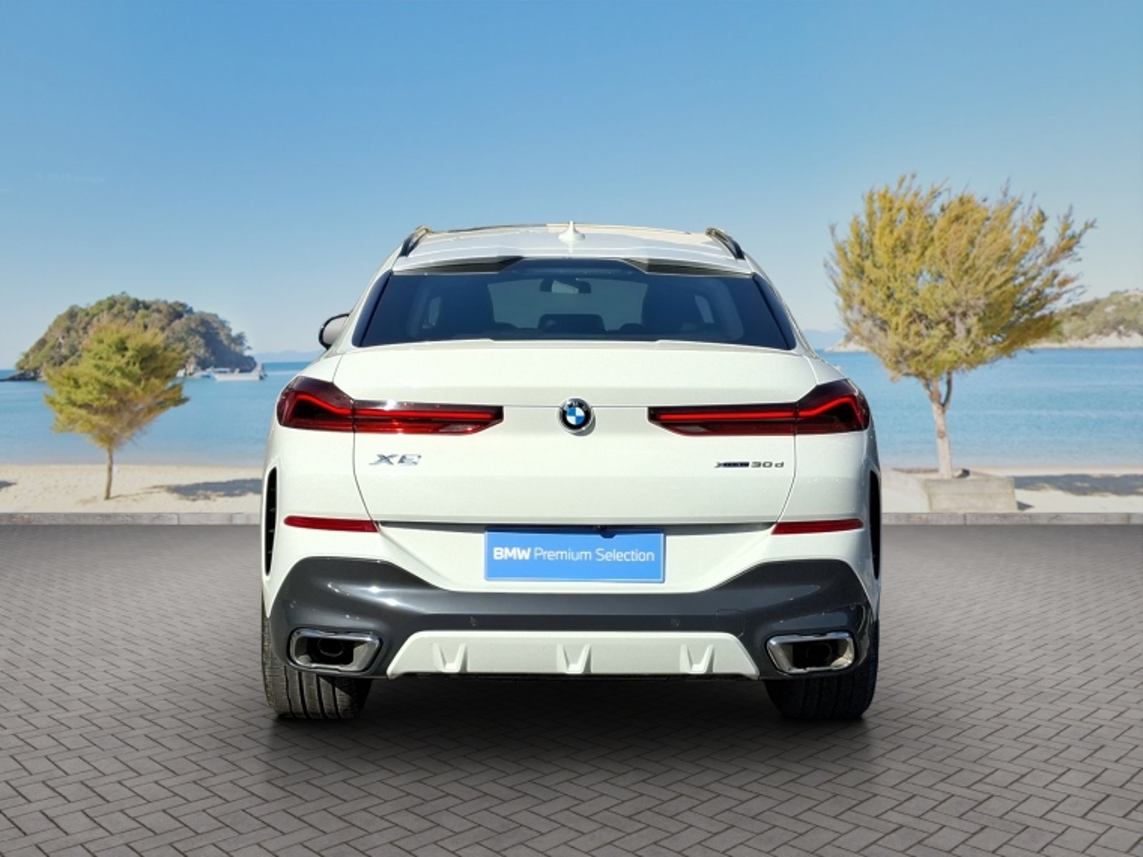 BMW X6 Xdrive30d 4x4 5p 3.0 Aut 2023 - Imagen 6 de 20