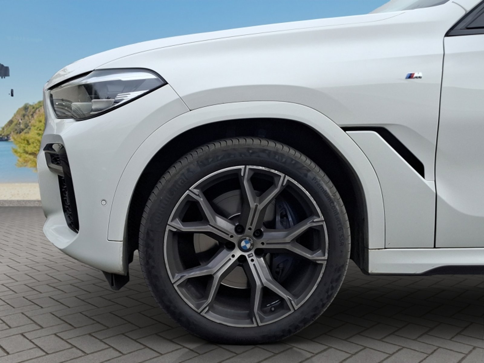 BMW X6 Xdrive30d 4x4 5p 3.0 Aut 2023 - Imagen 9 de 20