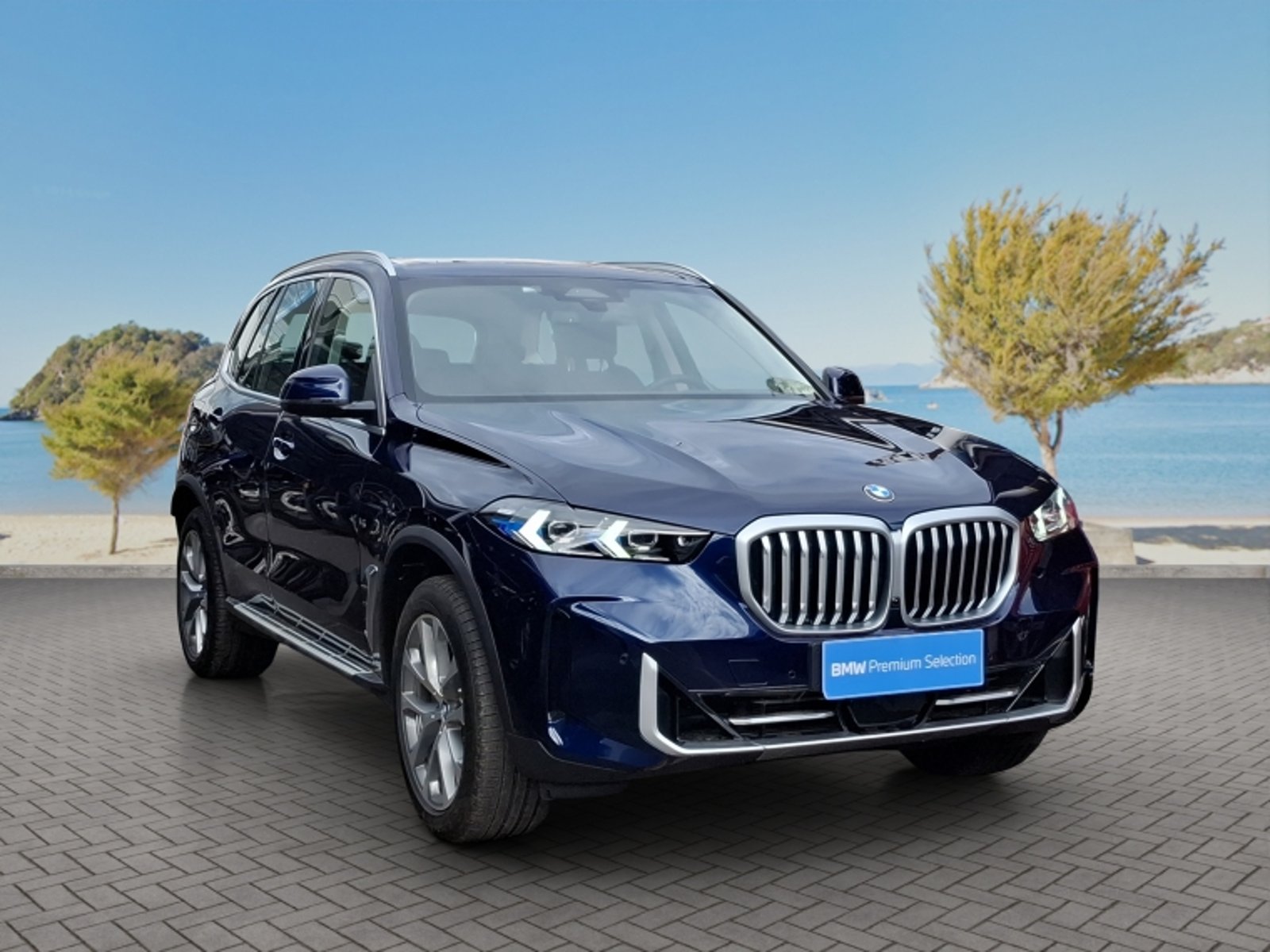 BMW X5 Xdrive30d Xline 2026 - Foto 3 de 20
