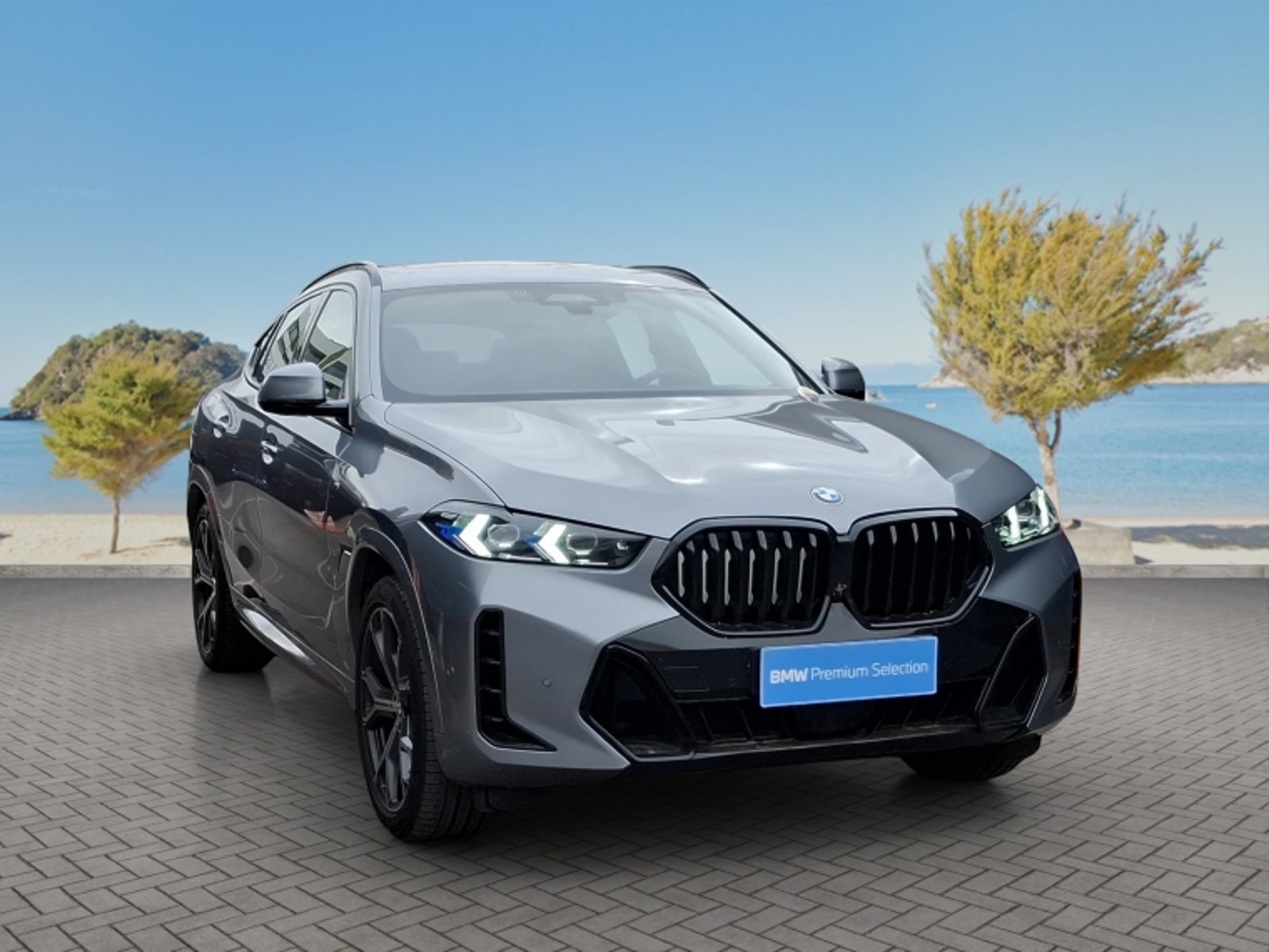 BMW X6 Xdrive30d M Sport 2026 - Foto 3 de 20