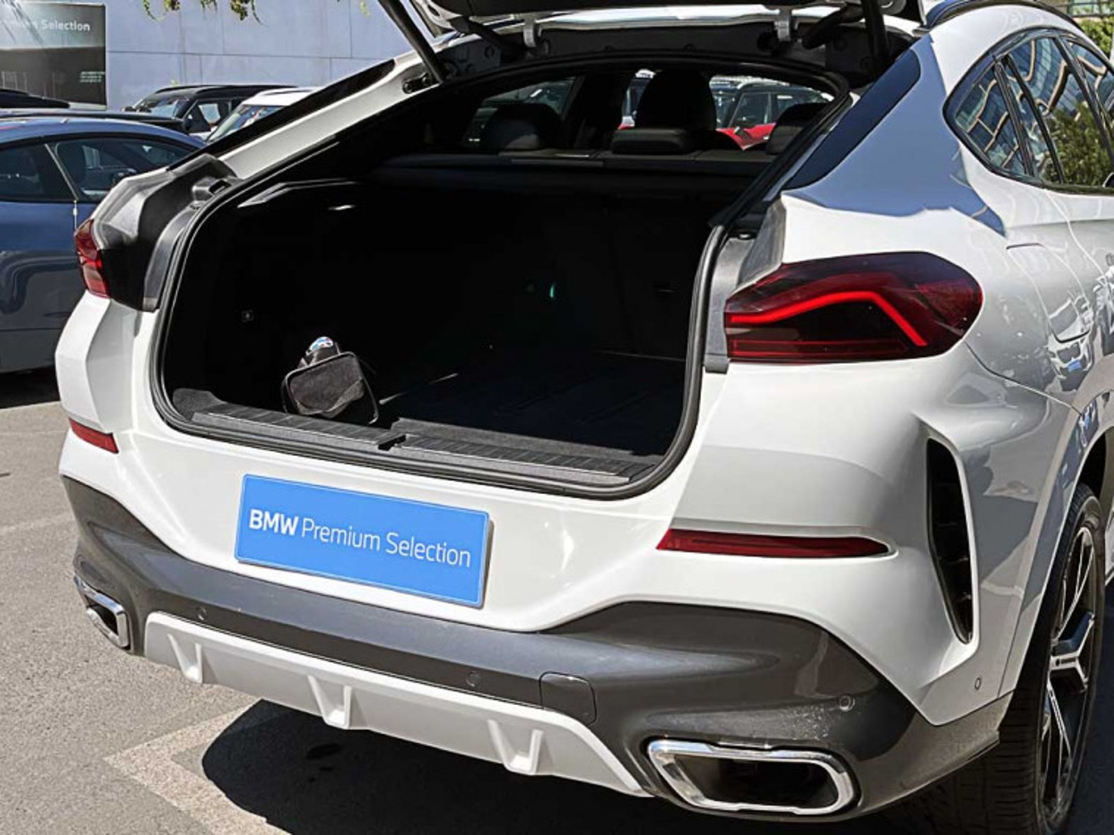 BMW X6 Xdrive30d M Sport 4x4 5p 3.0 Aut 2024 - Imagen 13 de 13