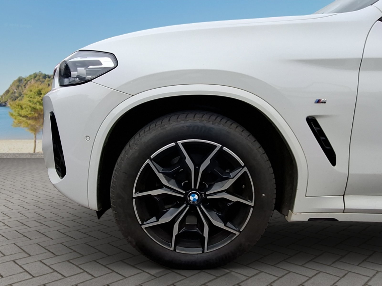 BMW X3 Xdrive 30d 3.0 4x4 Aut 2023 - Imagen 9 de 20