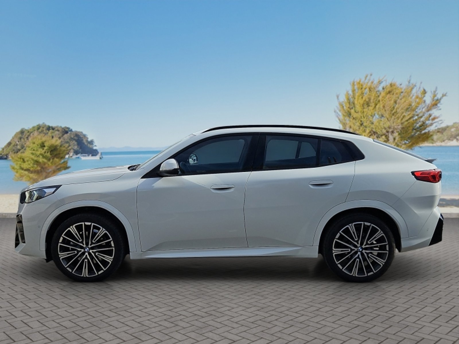BMW X2 Sdrive 20i 1.5 Aut 2026 - Imagen 4 de 20