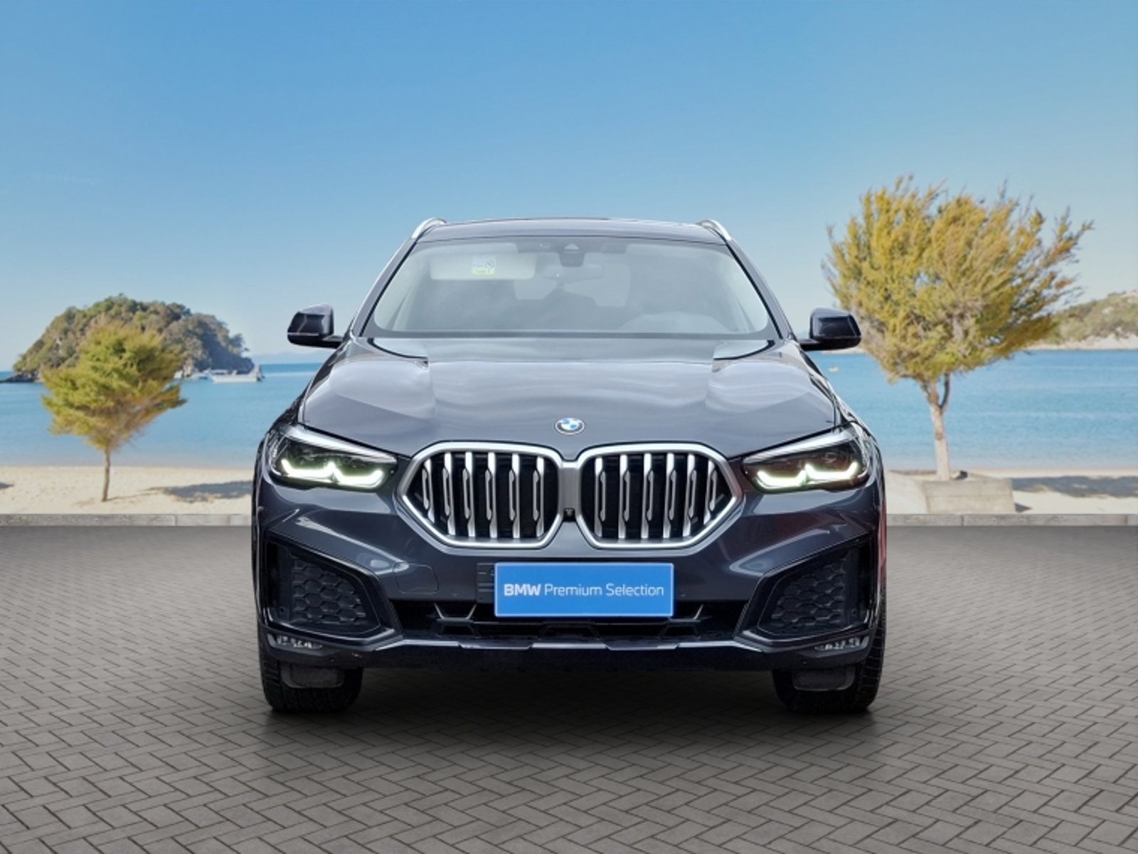 BMW X6 Xdrive30d Executive 4x4 3.0 At 2020 - Foto 2 de 20