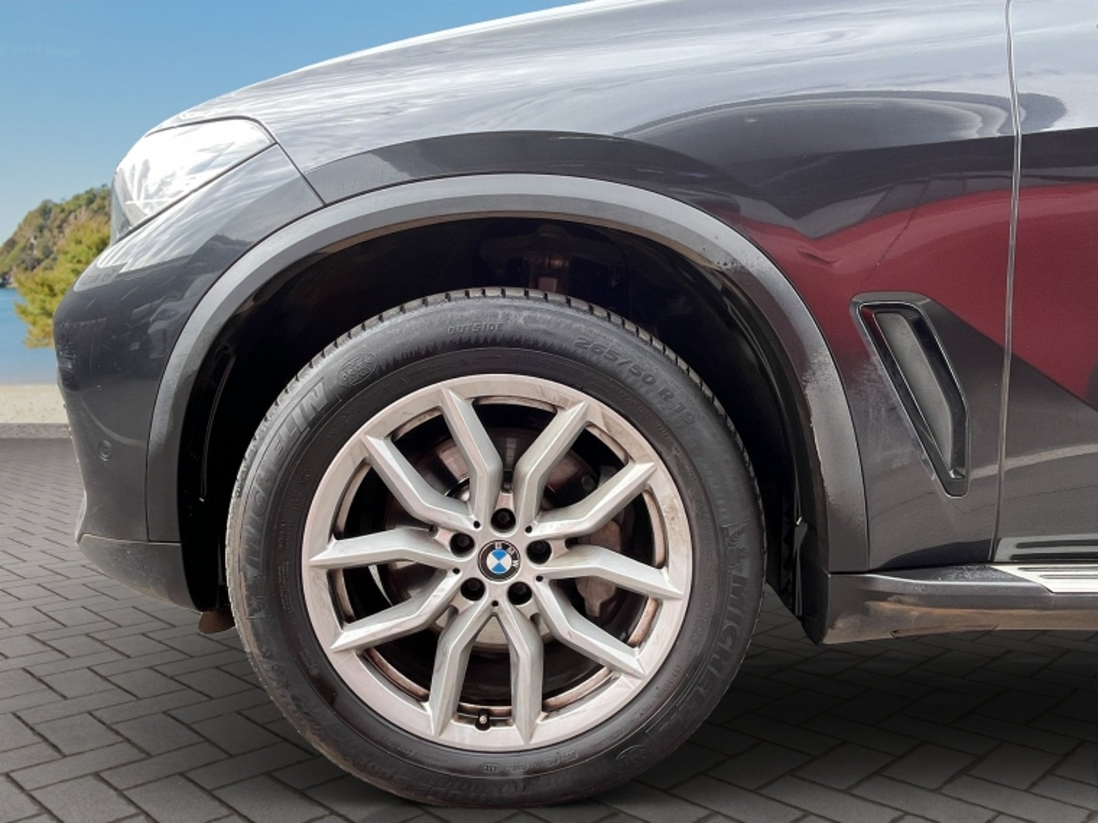 BMW X5 Xdrive25d 4x4 E 2.0 Aut 2023 - Imagen 9 de 20
