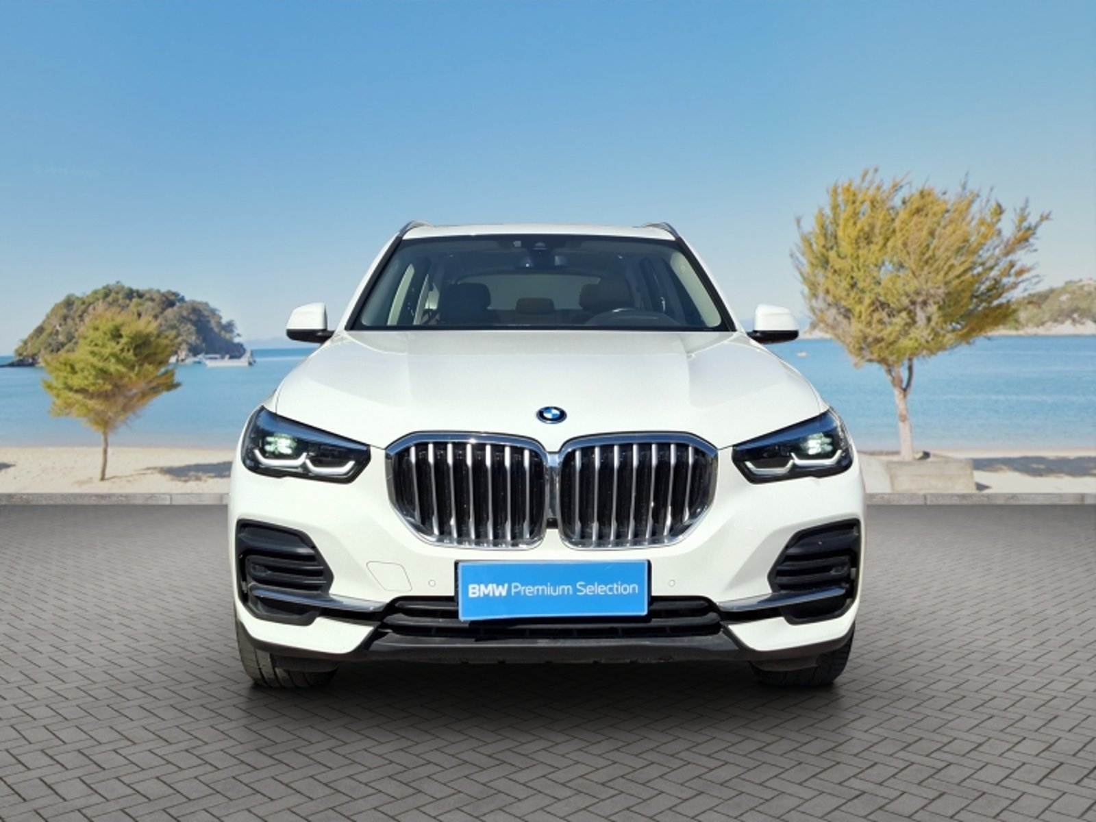BMW X5 Xdrive 45e 4x4 3.0 Aut 2023 - Foto 2 de 20