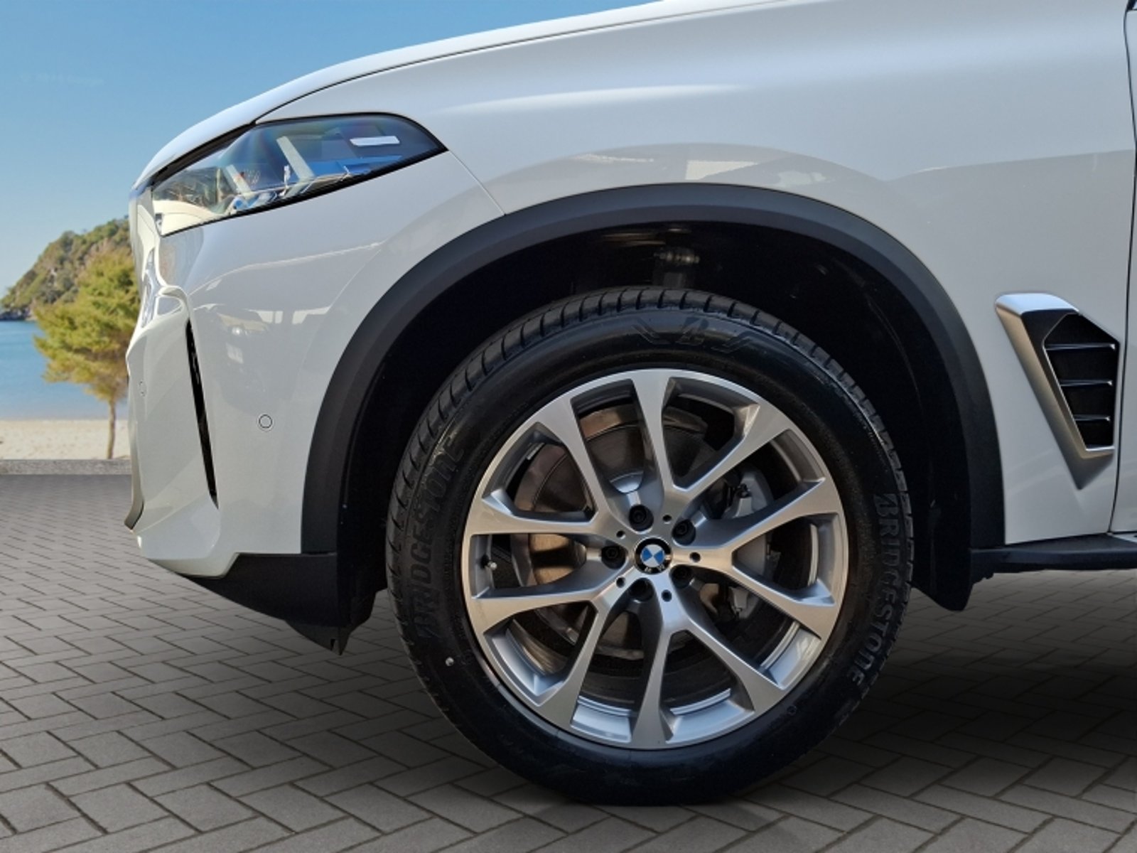BMW X5 Xdrive30d Xline 2026 - Imagen 9 de 20