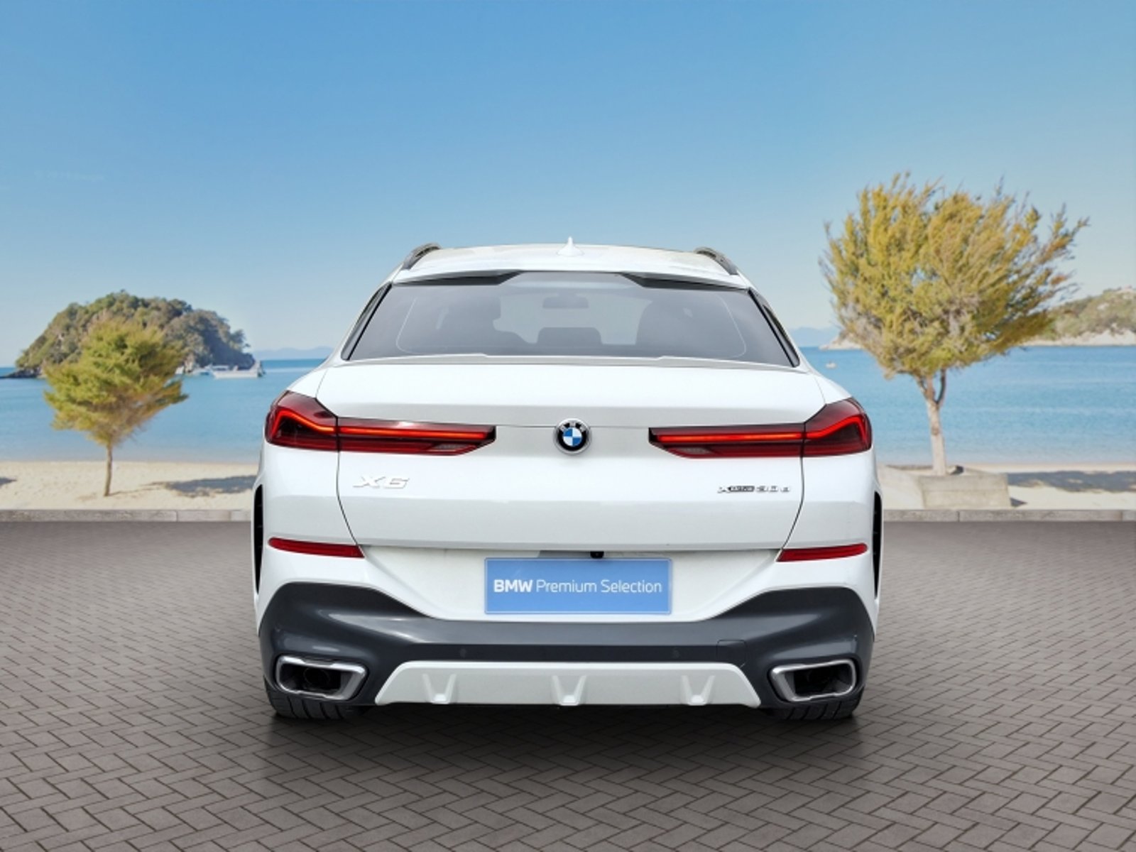 BMW X6 Xdrive30d 4x4 5p 3.0 Aut 2023 - Imagen 6 de 20