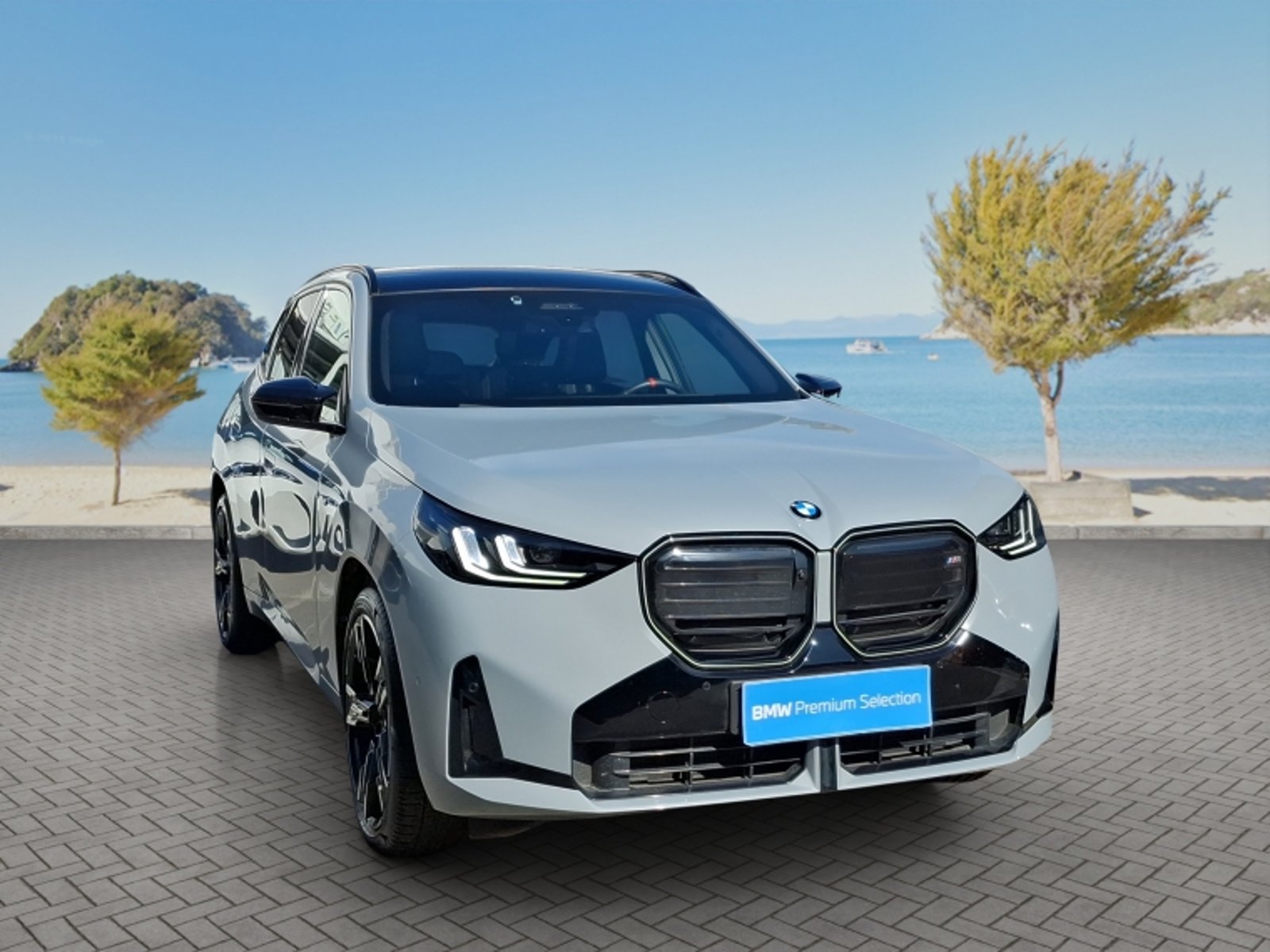 BMW X3 M50 Xdrive 3.0 Aut 2026 - Imagen 3 de 20